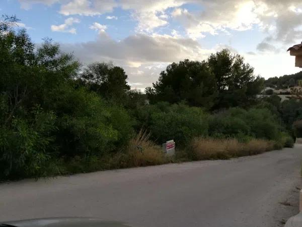 Terreno en calle la Morena