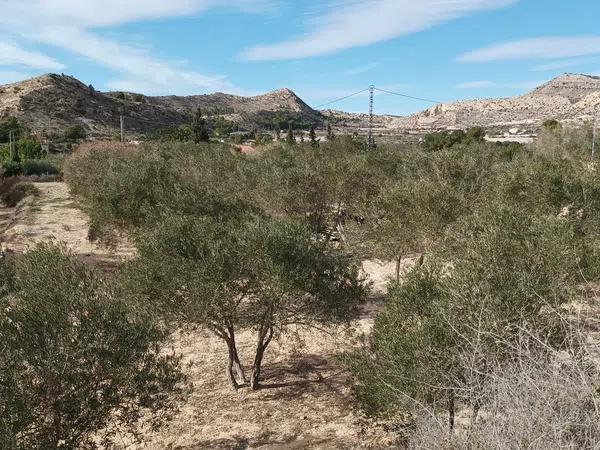 Terreno en Partida Vallongas