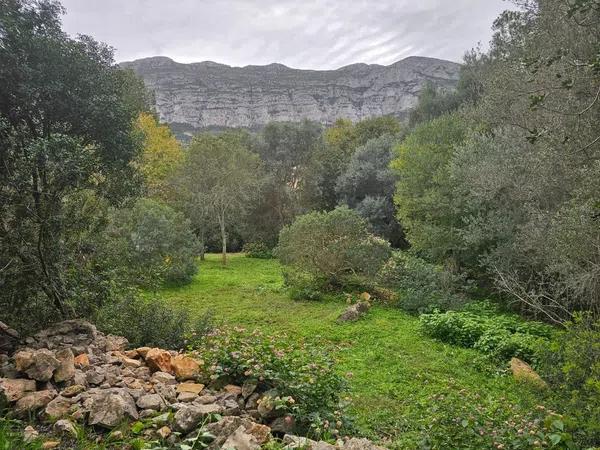 Terreno en El Montgó