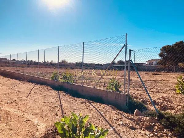 Terreno en carretera Elx - Santa Pola