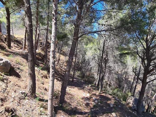 Terreno en Oltamar-Cucarres