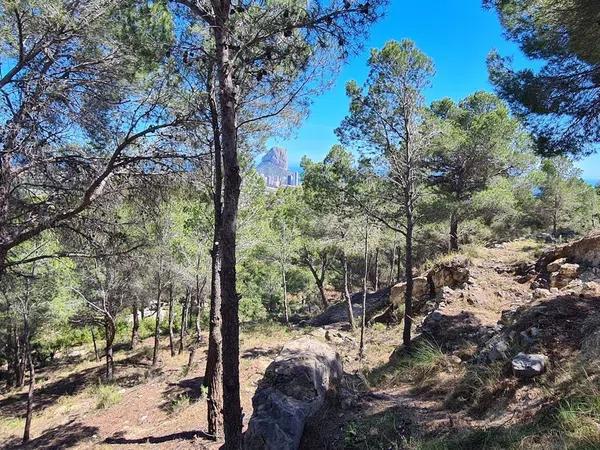 Terreno en Oltamar-Cucarres