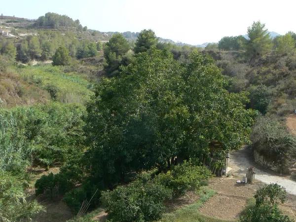 Terreno en camino del Quisi, km 2