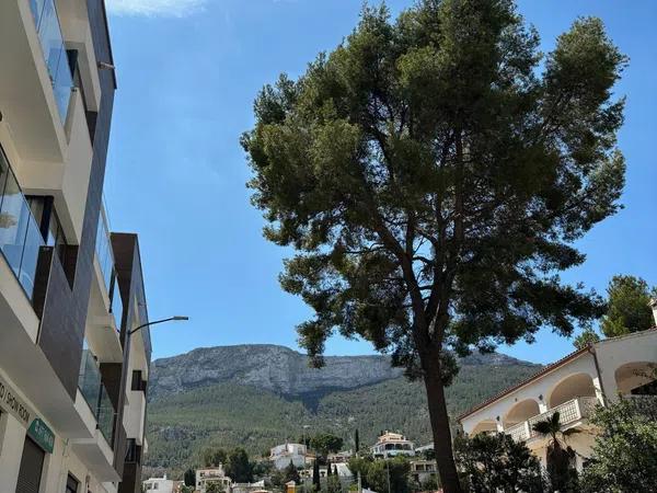 Terreno en calle Eurípides, 14