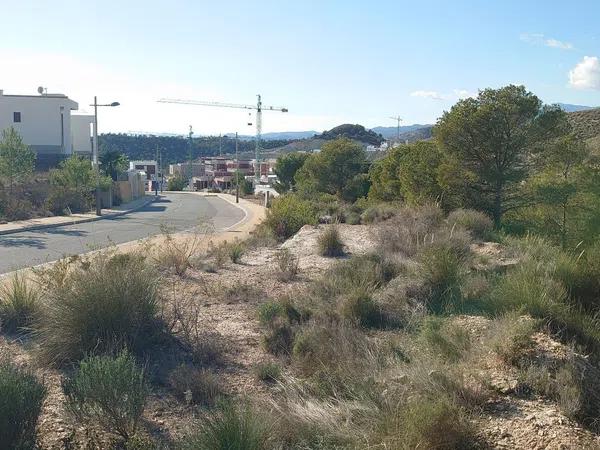 Terreno en calle de Paraguai