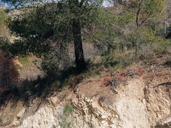 Terreno en Altea Hills