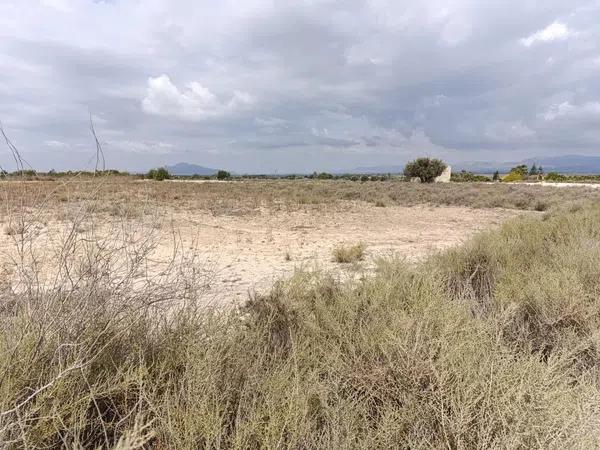 Terreno en La Marina