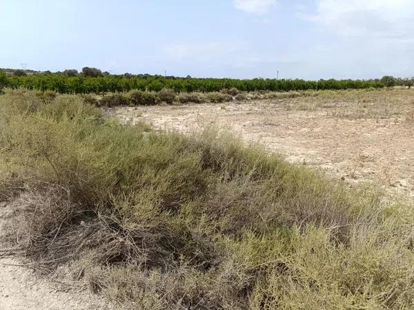 Terreno en La Marina