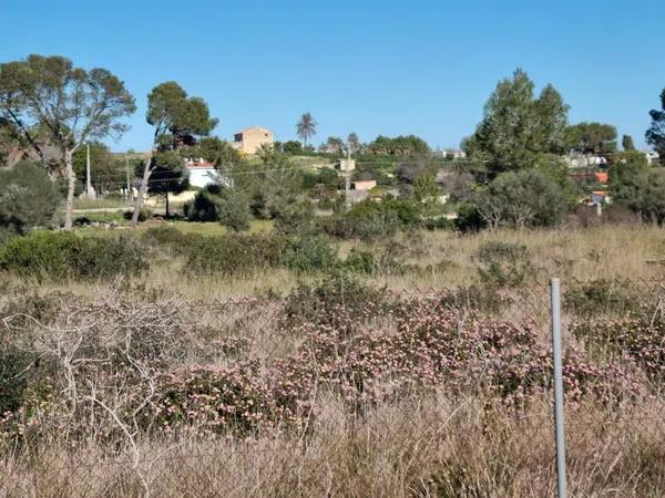 Terreno en calle Lici, 25 -32