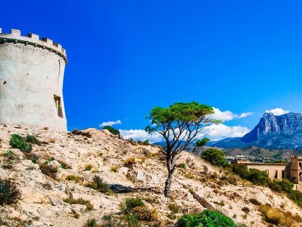 Terreno en El Secanet - Hacienda del Sol