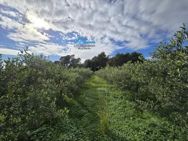 Terreno en Altea la Vella