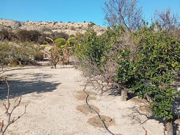 Terreno en La Galia-Bonavista