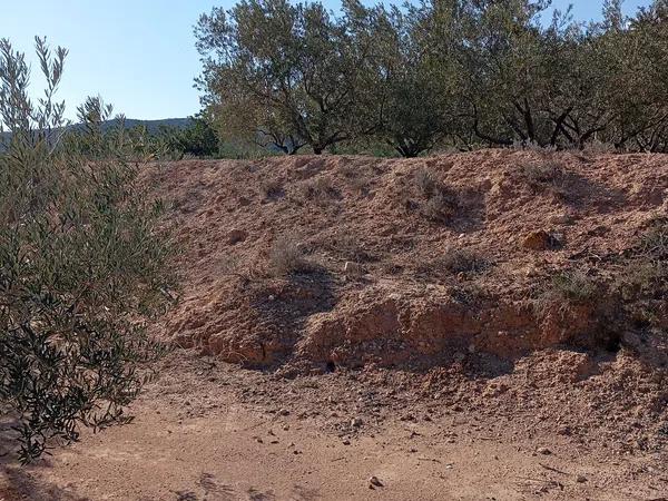 Terreno en La Galia-Bonavista