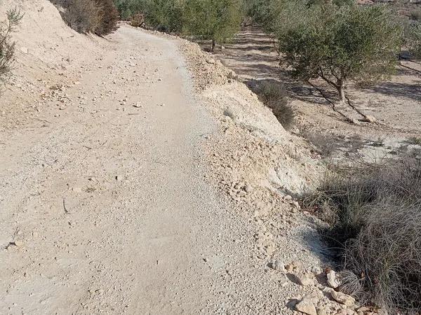 Terreno en La Galia-Bonavista