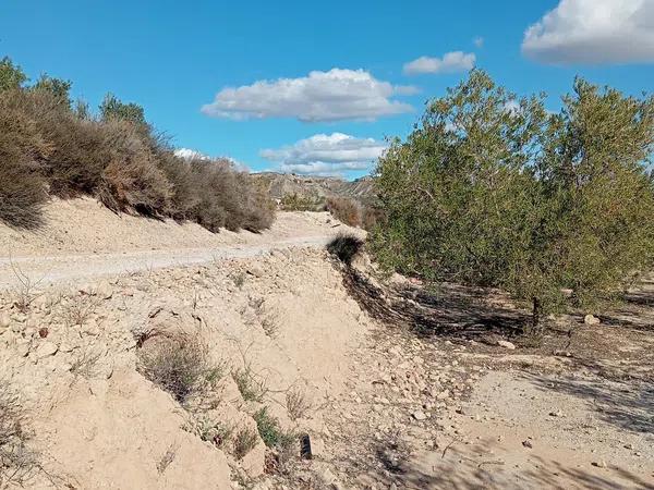 Terreno en La Galia-Bonavista