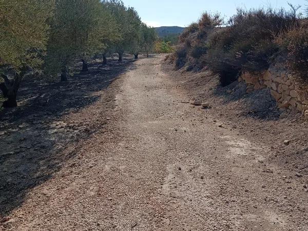 Terreno en La Galia-Bonavista