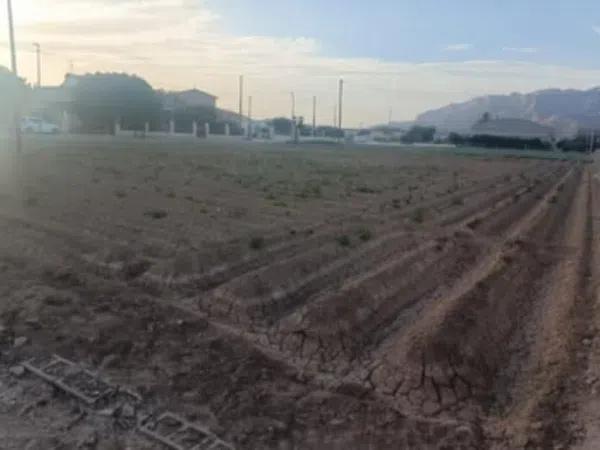 Terreno en Desamparados-Hurchillo-Torremendo