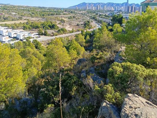 Terreno en camino de l'Alfàs s/n