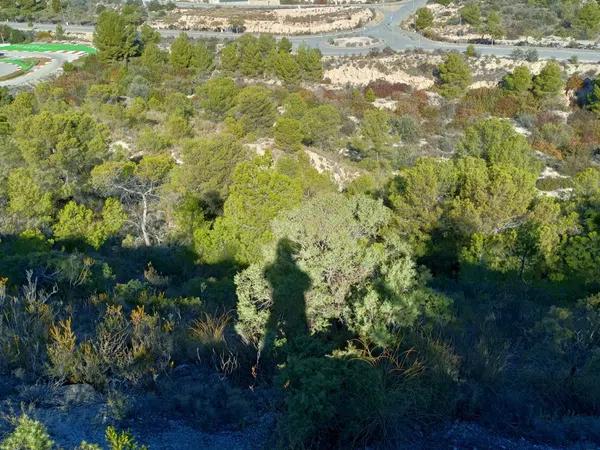 Terreno en camino de l'Alfàs s/n