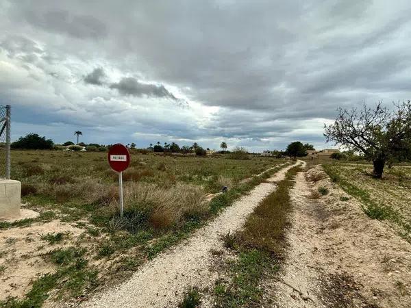 Terreno en camino de Perleta, 16