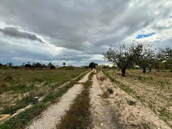 Terreno en camino de Perleta, 16