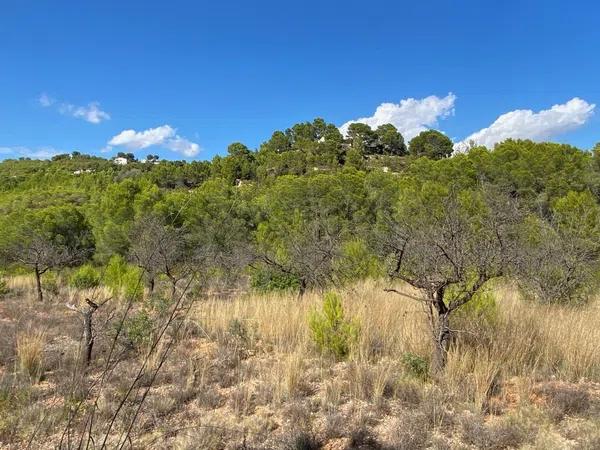 Terreno en Benissa pueblo