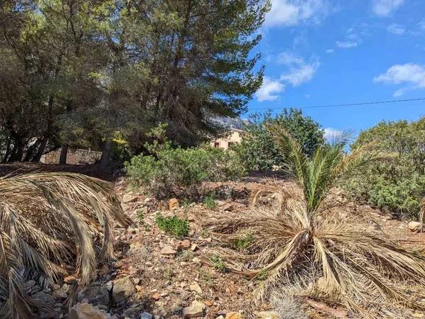 Terreno en El Montgó