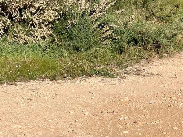 Terreno en La Galia-Bonavista