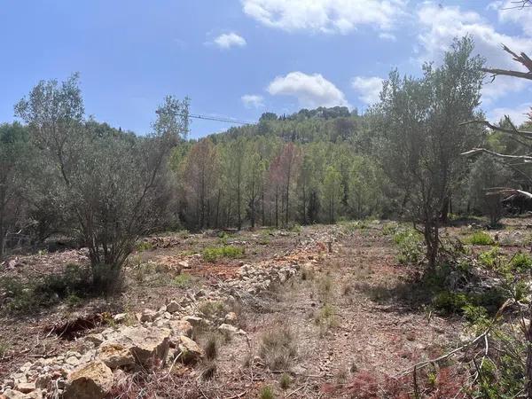 Terreno en calle Peixos