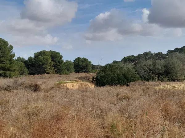 Terreno en Diseminado Poligono 9, 1