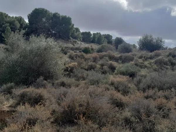 Terreno en Diseminado Poligono 9, 1