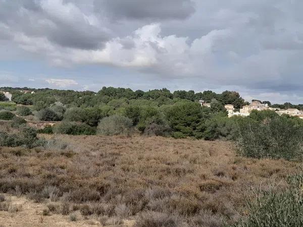 Terreno en Diseminado Poligono 9, 1