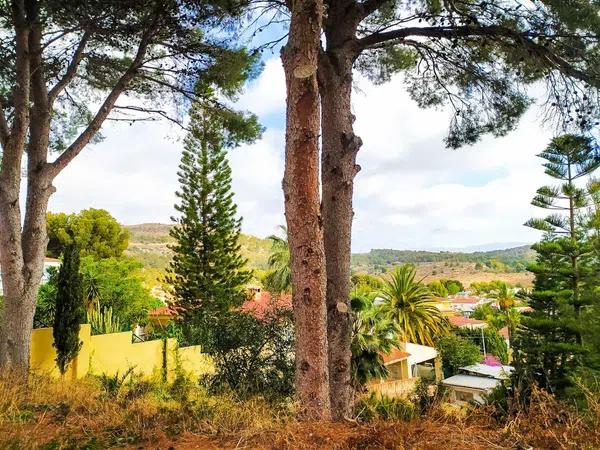 Terreno en Colonia Escandinavia-Cautivador