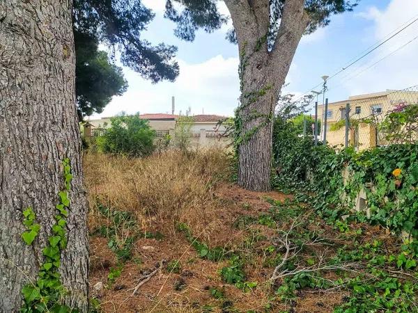 Terreno en Colonia Escandinavia-Cautivador