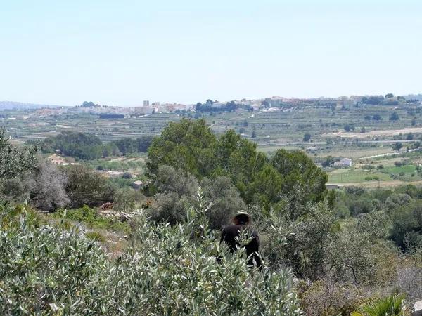 Terreno en Benissa pueblo