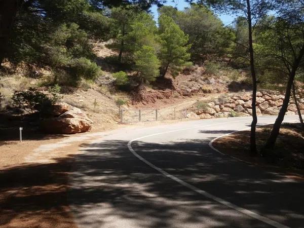 Terreno en calle la Guatla