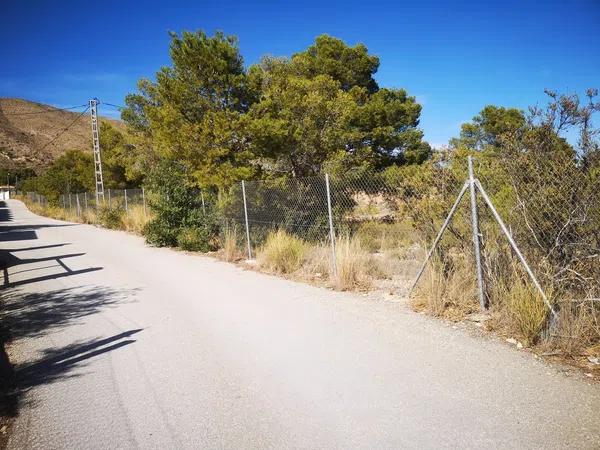 Terreno en Partida la Robella s/n