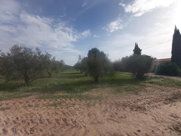 Terreno en Cabanes y Las Fuentes