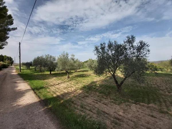 Terreno en Cabanes y Las Fuentes