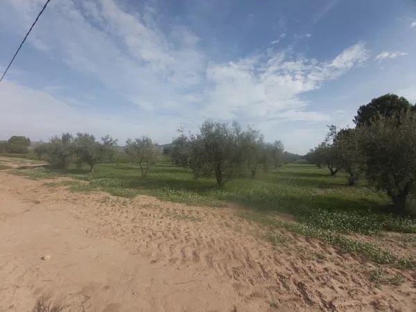 Terreno en Cabanes y Las Fuentes