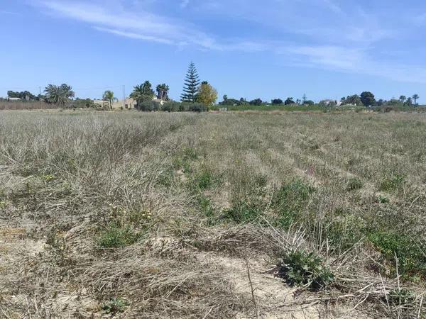 Terreno en camino viejo de santa pola s/n