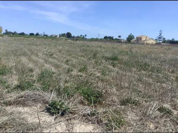 Terreno en camino viejo de santa pola s/n