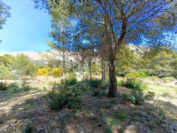 Terreno en Montgó - Ermita