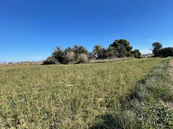 Terreno en Partida Valverde Bajo