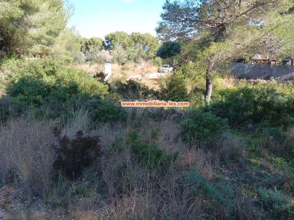 Terreno en Les Rotes/Las Rotas