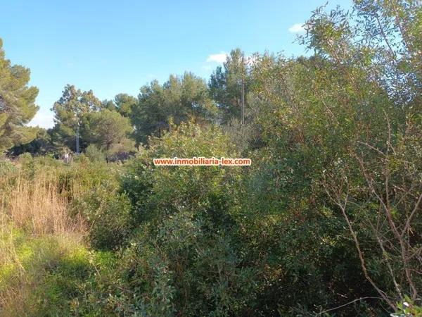 Terreno en Les Rotes/Las Rotas