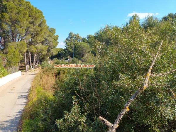 Terreno en Les Rotes/Las Rotas