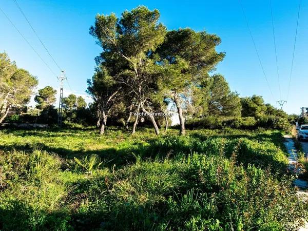 Terreno en La Granadella - Costa Nova