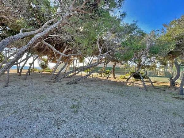 Terreno en Barrio Cabo Roig