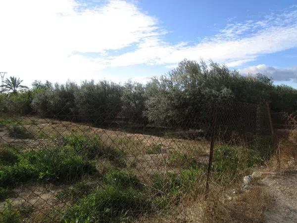 Terreno en Jubalcoi-Saladas